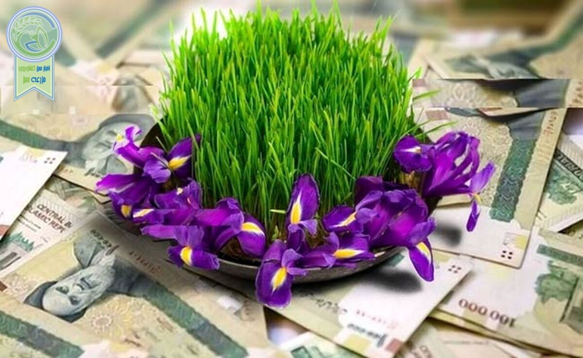 عیدی کارگران در سال ۱۴۰۳+ اینفوگرافی

