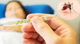 تب دنگی چند روز طول می‌کشد؟+ اینفوگرافی

