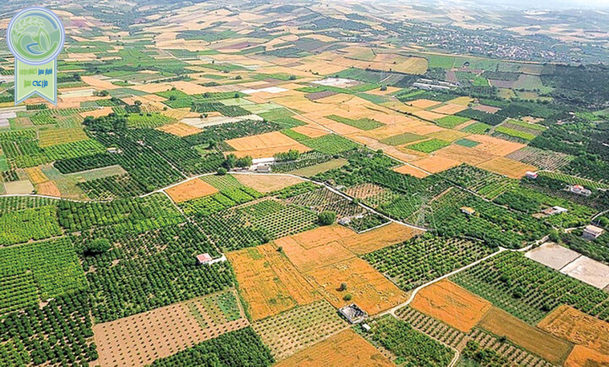 تجمیع و یکپارچه سازی ۱۱ هزار و ۴۰۰ هکتار اراضی کشاورزی

