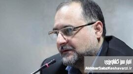 مداخله گری روستایی، سپاه صلح، لژیون خدمتگزاران بشر و اصلاحات ارضی ایران

