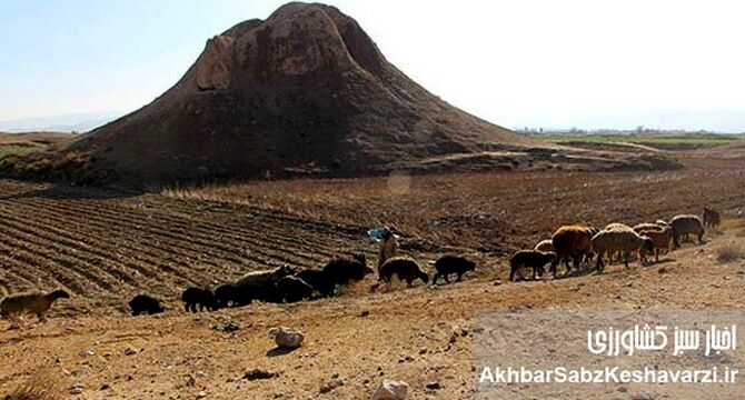 تل ضحاک فسا در معرض نابودی؛ شخم زمین، برداشت خاک و حفاری غیرمجاز در محوطه تاریخی