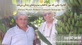 آب، آفتاب و موز؛ روایت یک باغ کوچک در آلانیا، ترکیه+ویدئو