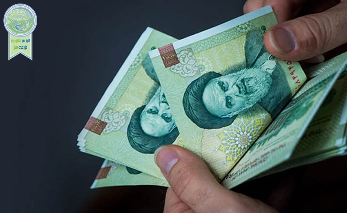 رقم یارانه‌ها چگونه تغییر می‌کند؟

