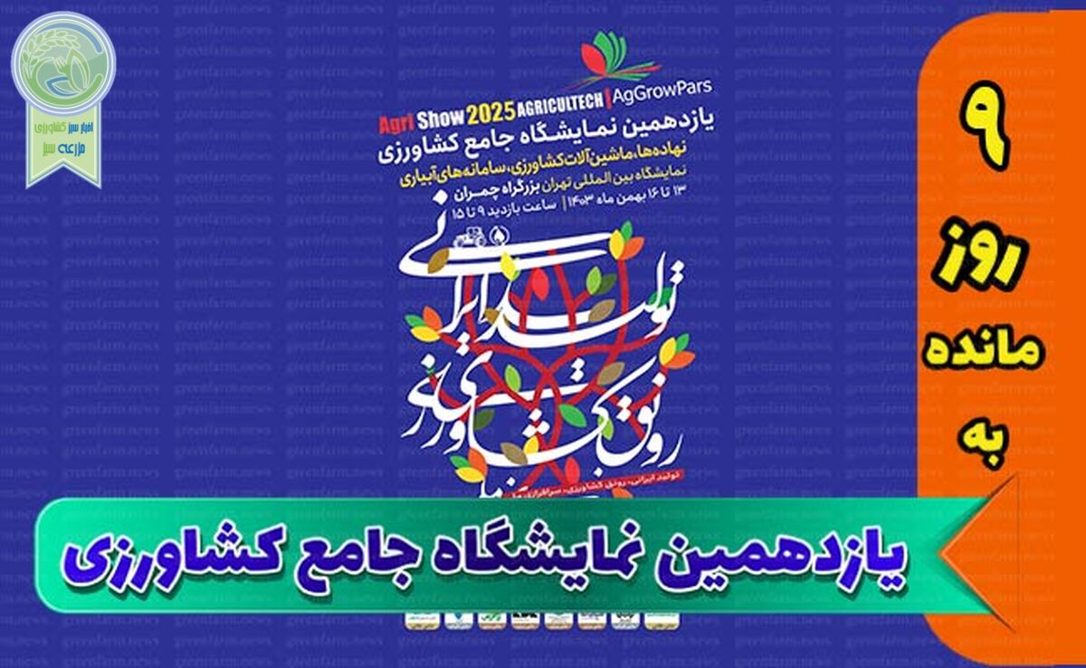 شب‌های باشکوه نمایشگاه جامع

