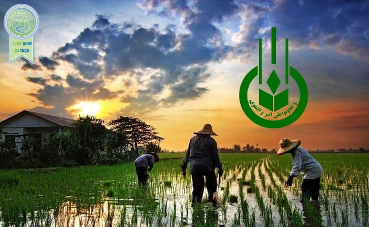 آیا تعاون روستایی قصد «موندراگون» شدن دارد؟
