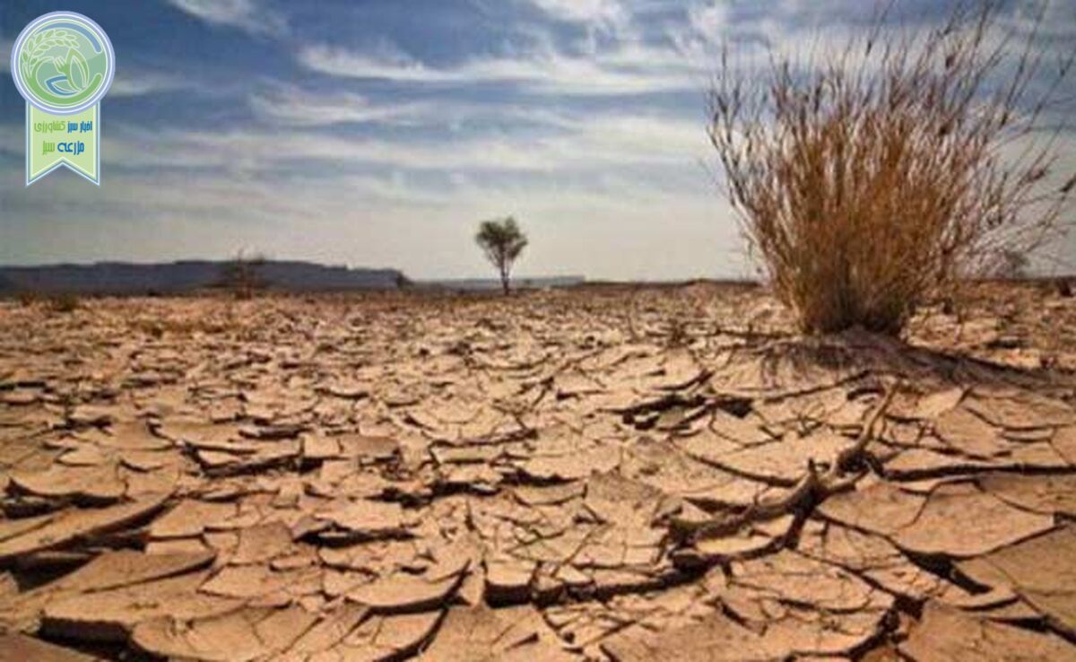 بیابان‌زایی محصول نابودی تالاب‌ها

