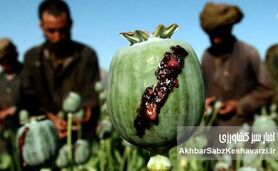 دسترسی آسان شربت تریاک؛ از داروخانه تا ناصرخسرو!
