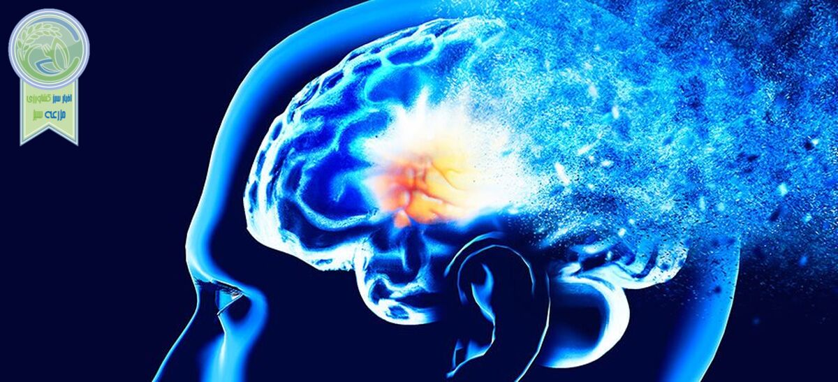 هوش مصنوعی چگونه آلزایمر را پیش‌بینی خواهد کرد؟

