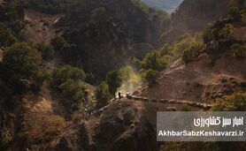 از متهمان بیابان‌زایی تا حافظان مرتع؛ نقش دامداری کوچ‌رو در احیای طبیعت
