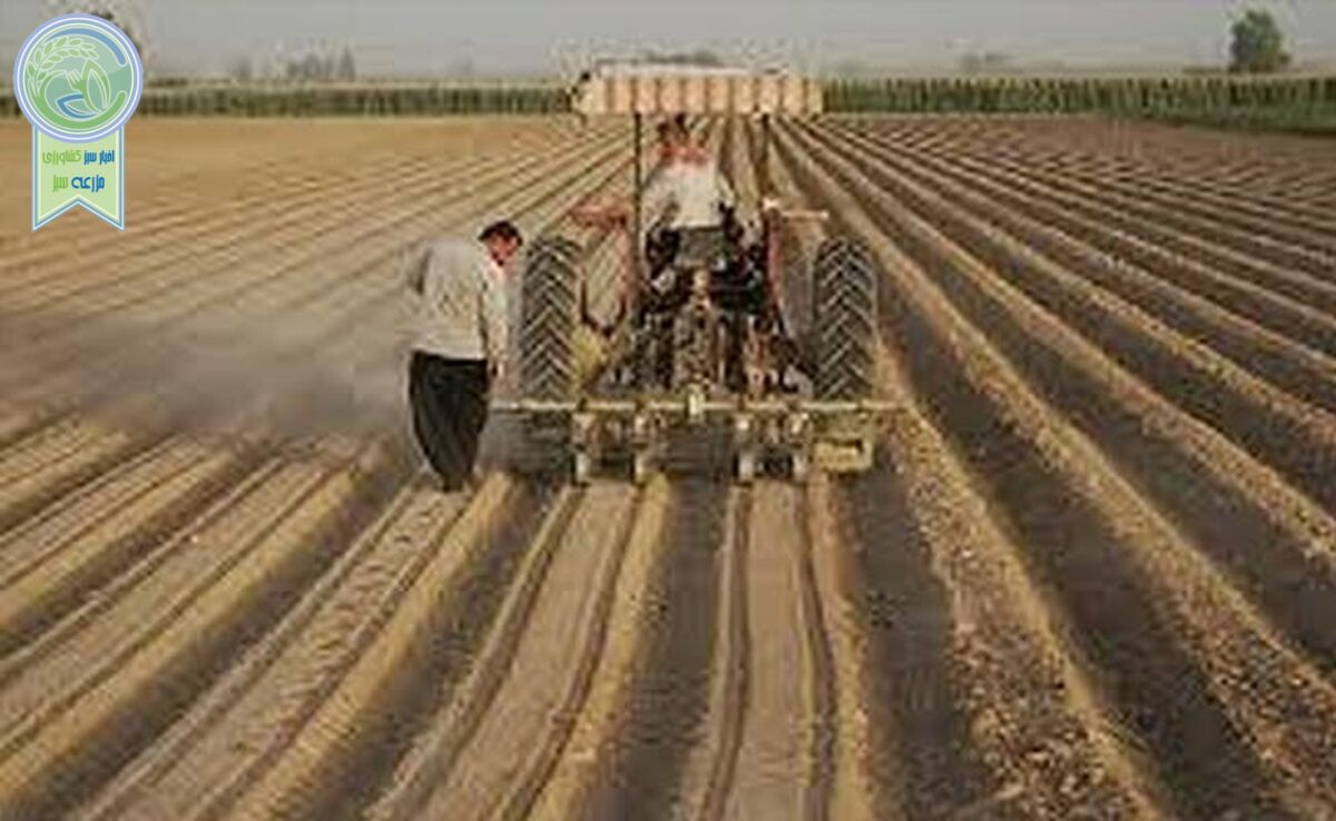 ۳ میلیون تن کود برای کشت پاییزه تامین شد

