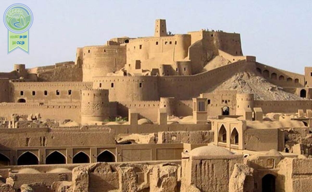 کرمان، شهر تاریخ و کویر

