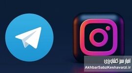 اینستاگرام و تلگرام بدون فیلتر می‌شوند؟ پاسخ رسمی زیرساخت