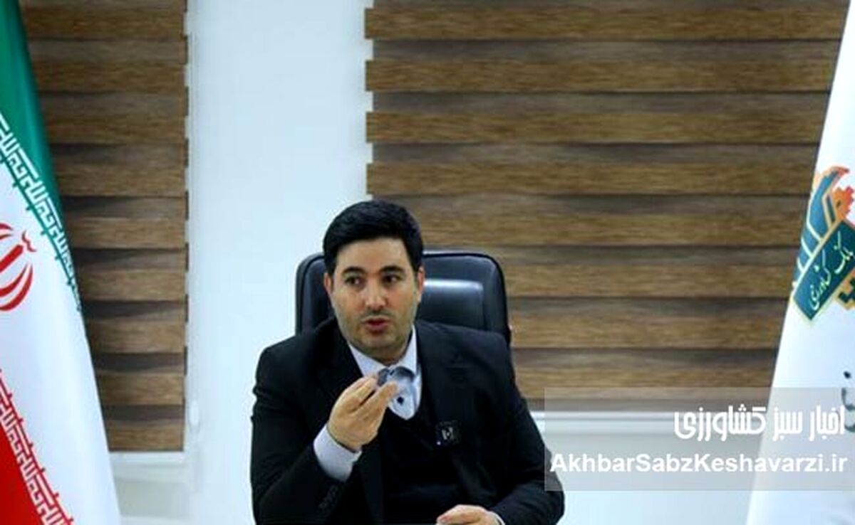 بیمه گندم رایگان شد + افزایش ۱۵۰ درصدی غرامت‌ها