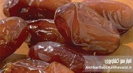 معجزه گرم خرما در روزهای سرد | فقط ۲ عدد در روز کافی است!