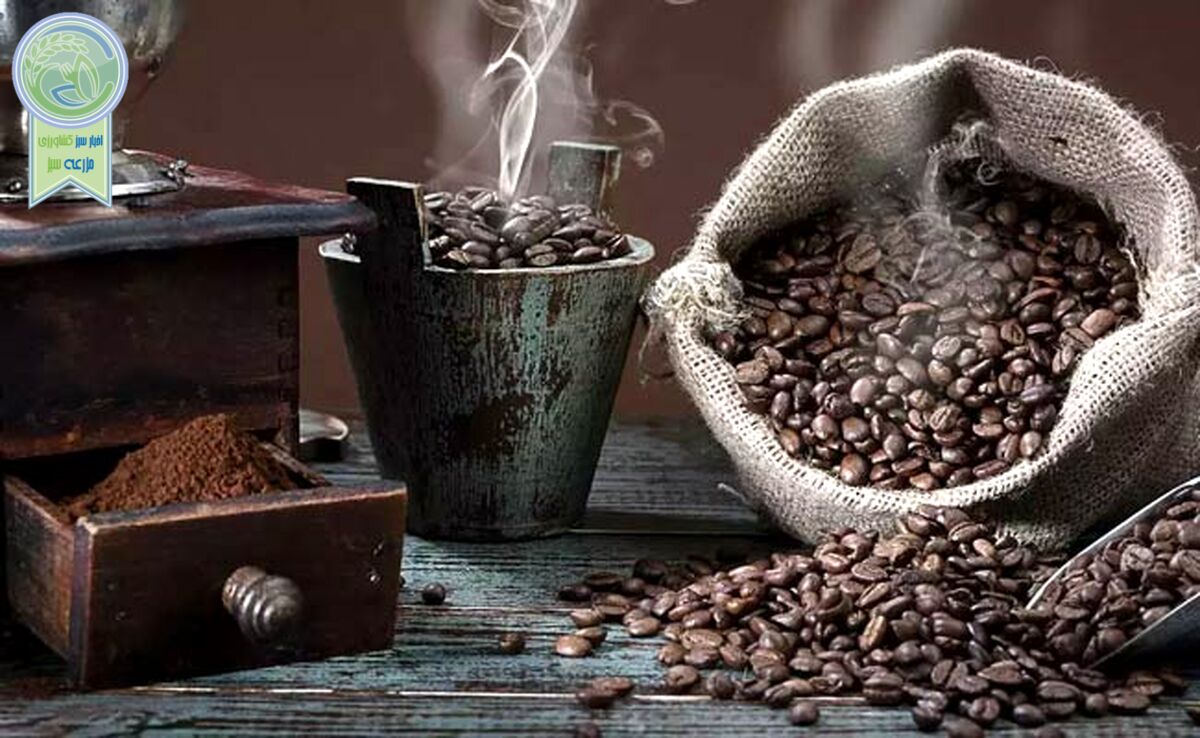 روز جهانی قهوه بر عاشقان این گیاه جادویی مبارک+ کلیپ

