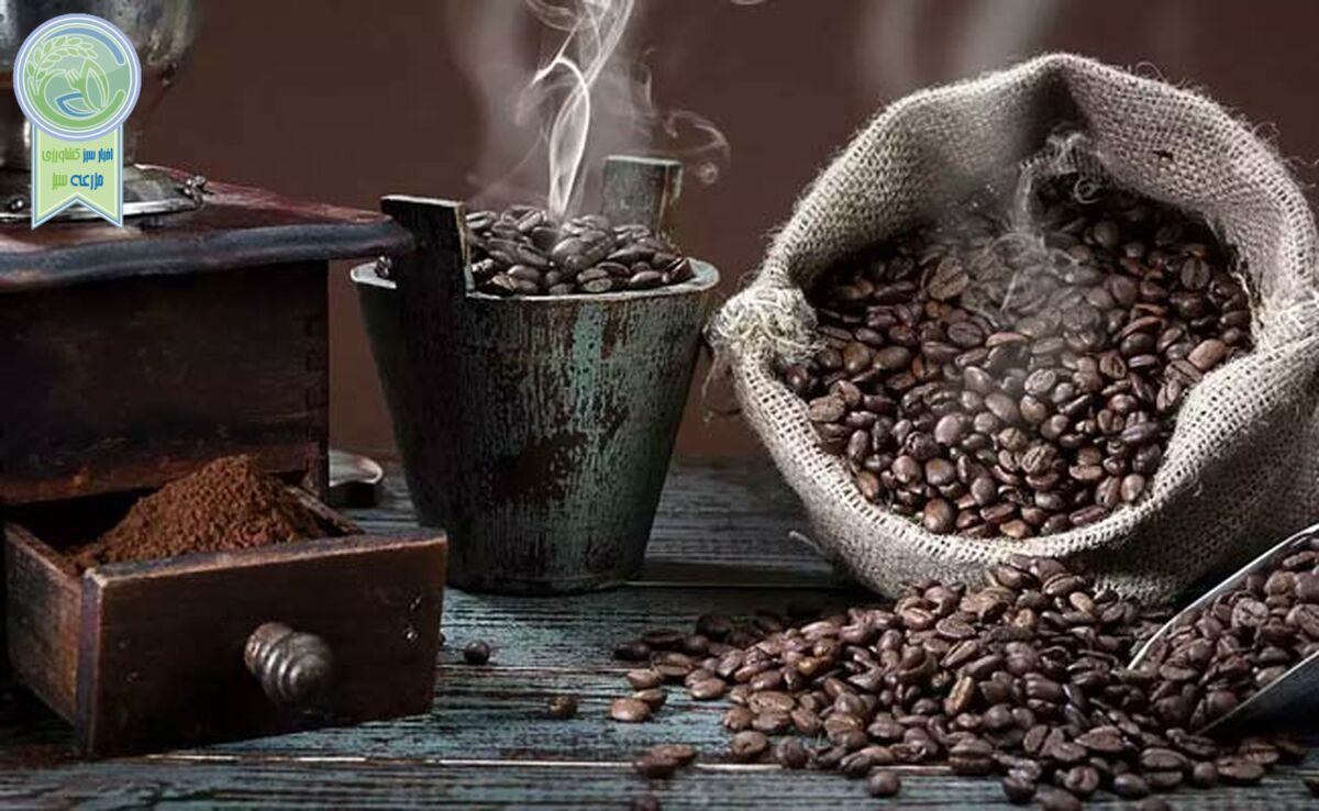 روز جهانی قهوه بر عاشقان این گیاه جادویی مبارک+ کلیپ

