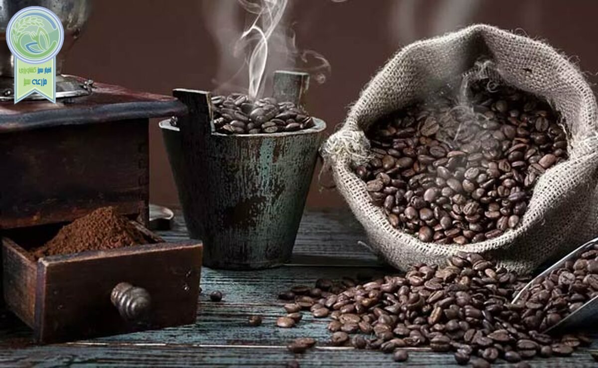 روز جهانی قهوه بر عاشقان این گیاه جادویی مبارک+ کلیپ


