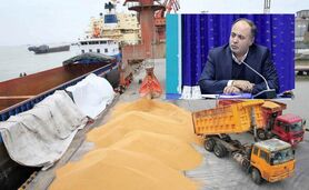  وزیر به جای کمک از مجلس بر طبل وابستگی و واردات گندم کوبید+ ویدئو