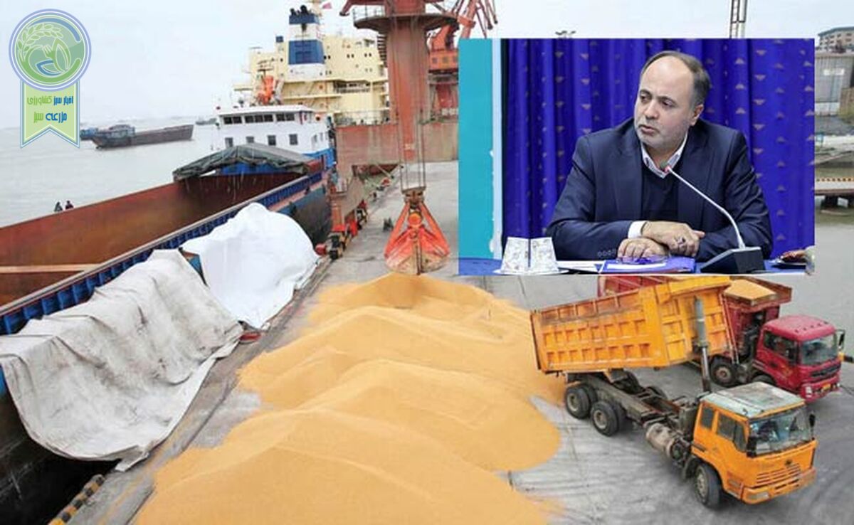  وزیر به جای کمک از مجلس بر طبل وابستگی و واردات گندم کوبید+ ویدئو