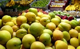 قیمت میوه‌ سر به فلک گذاشت!

