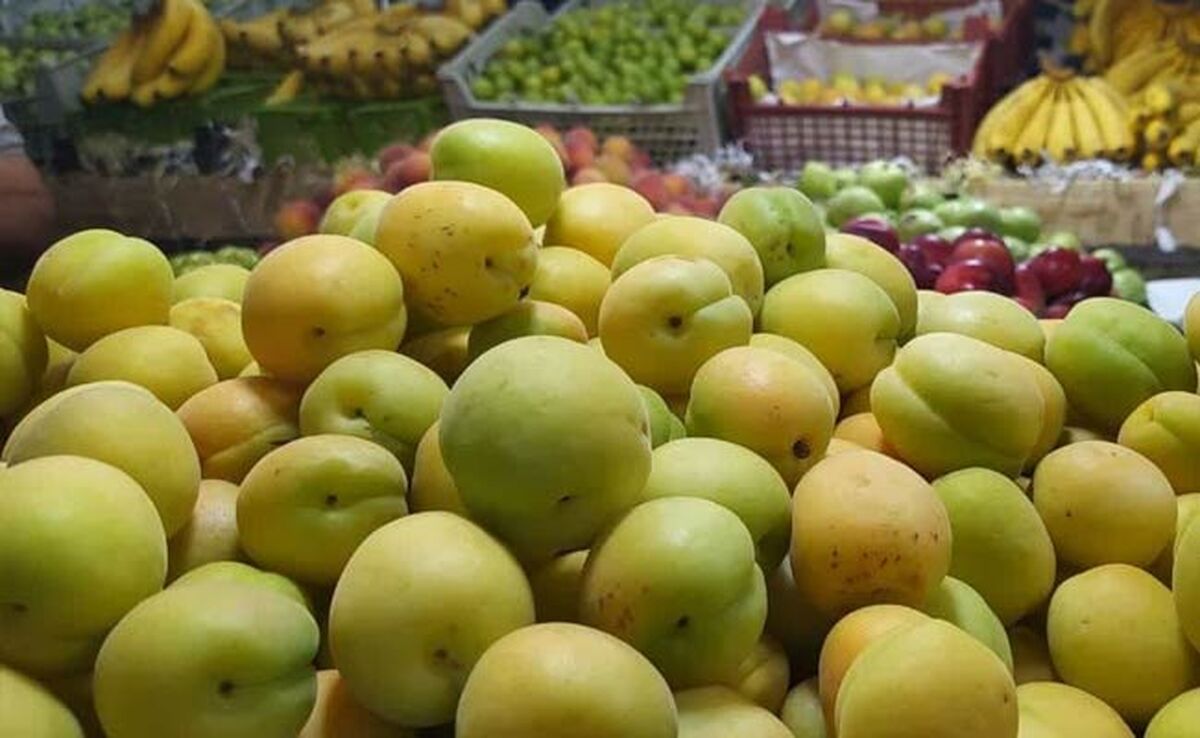 قیمت میوه‌ سر به فلک گذاشت!

