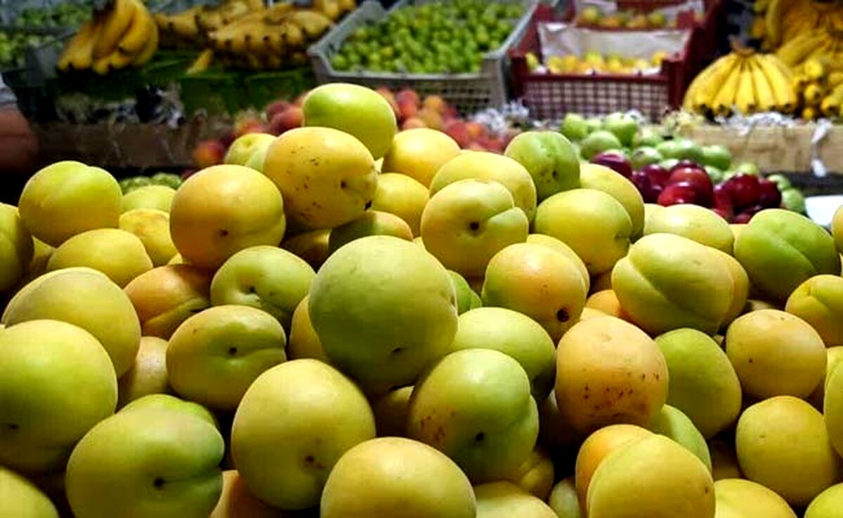 قیمت میوه‌ سر به فلک گذاشت!

