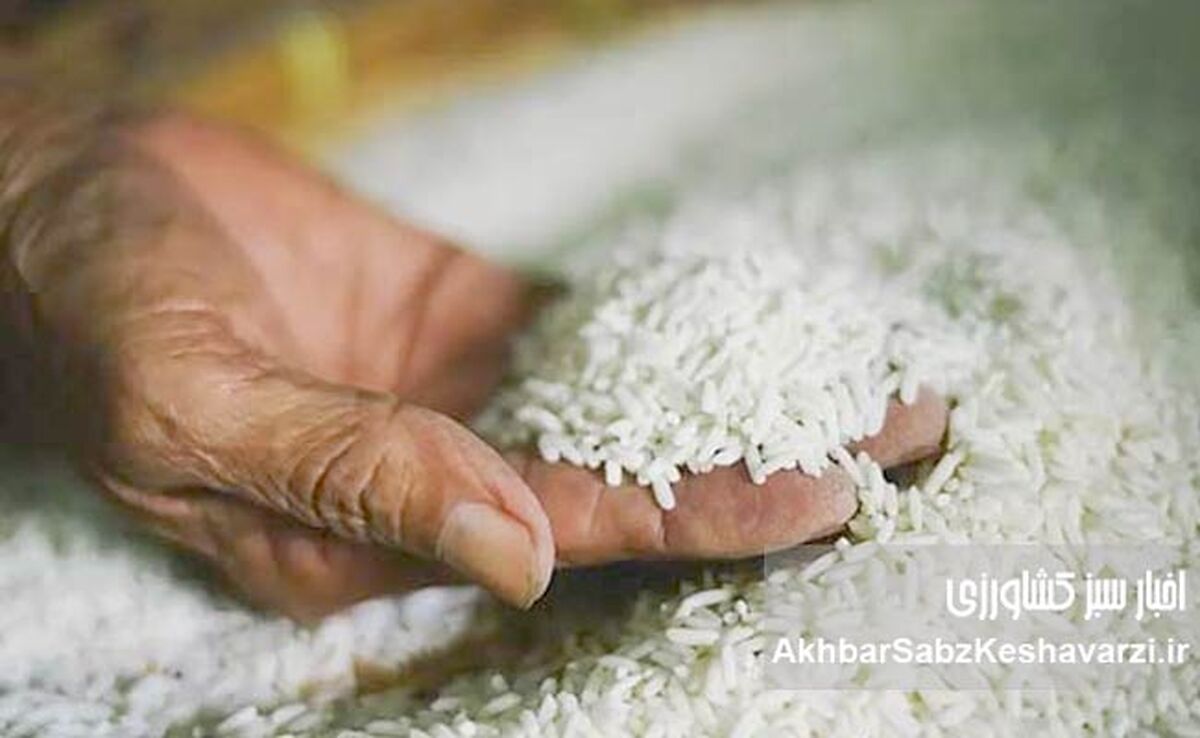 پشت‌پرده خرید برنج تقلبی از هند؛ معامله یا رانت؟