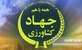 ضعف عملکرد وزیر جهاد کشاورزی و عبور از خط قرمز امنیت کشاورزی به رسانه های فرامرزی کشیده شد+ ویدئو