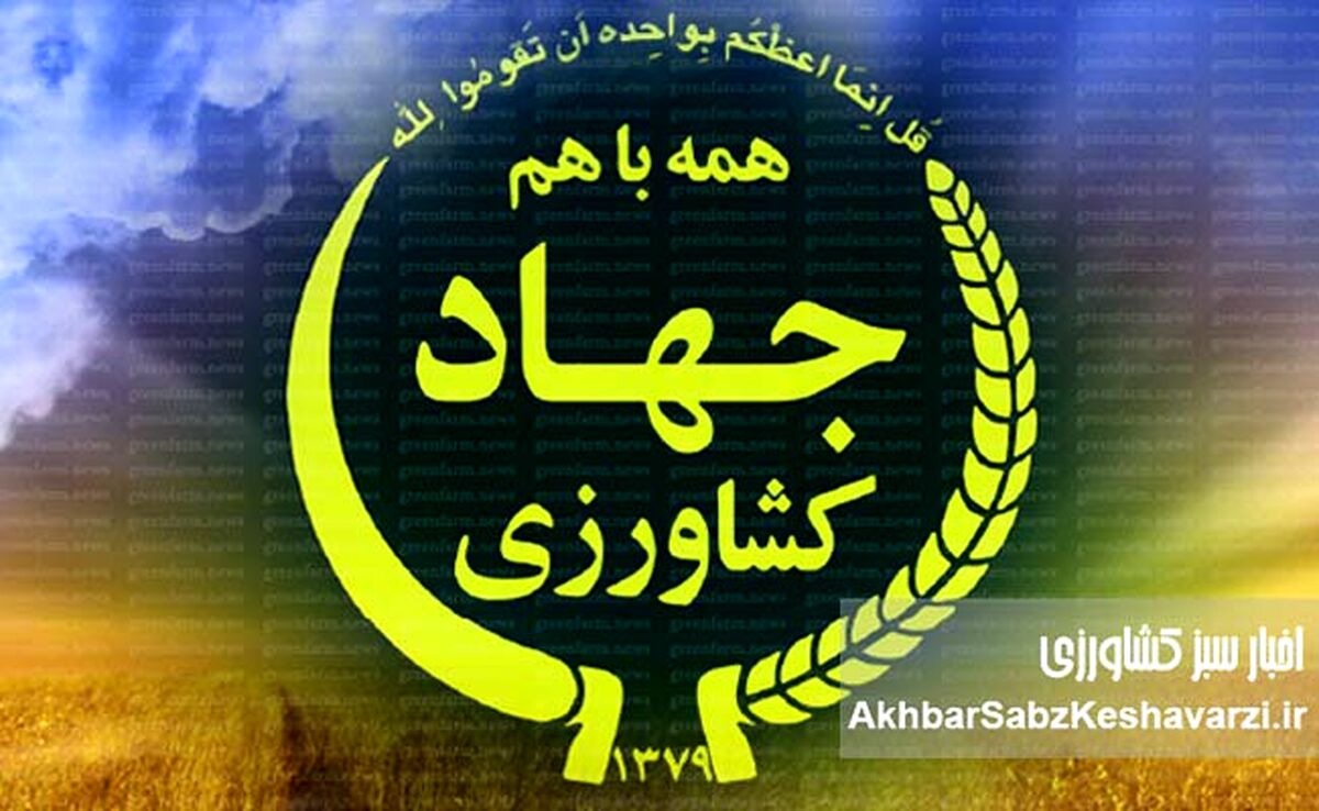 ضعف عملکرد وزیر جهاد کشاورزی و عبور از خط قرمز امنیت کشاورزی به رسانه های فرامرزی کشیده شد+ ویدئو
