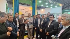 تحولی بزرگ در تولید نهال با صرفه‌جویی در زمان و منابع+ عکس


