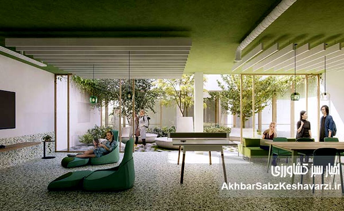 معماری و سلامت روان: طراحی فضاهایی برای آرامش و آسایش