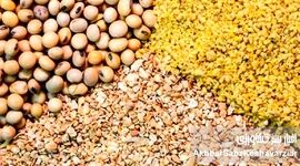 تخصیص ۴۵۰ میلیون دلار از ارز معوق نهاده‌های دامی؛ گامی مهم برای بازگشت ثبات به بازار خوراک دام