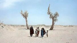 مهاجرت یک‌پنجم مردم سیستان

