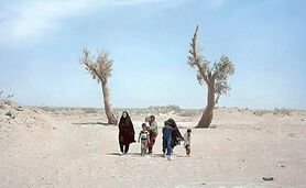 مهاجرت یک‌پنجم مردم سیستان

