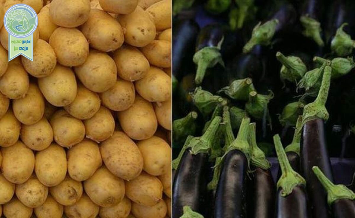 بلوای بادمجان و سیب‌زمینی