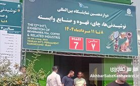 صادرات موفق؛ چشم‌اندازی روشن با حمایت دولت و رفع موانع در صنعت نوشیدنی


