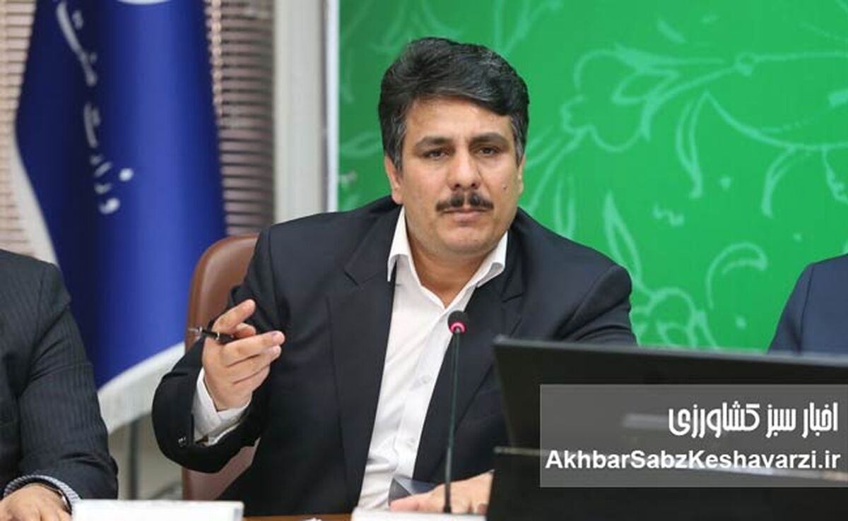 تأخیر ۱۰‌ماهه دولت در پرداخت بدهی واردکنندگان نهاده دامی، بحران مرغ را تشدید می‌کند+ ویدئو