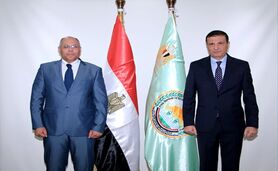 مصر قصد دارد همکاری کشاورزی با کویت را تقویت کند