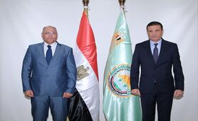 مصر قصد دارد همکاری کشاورزی با کویت را تقویت کند