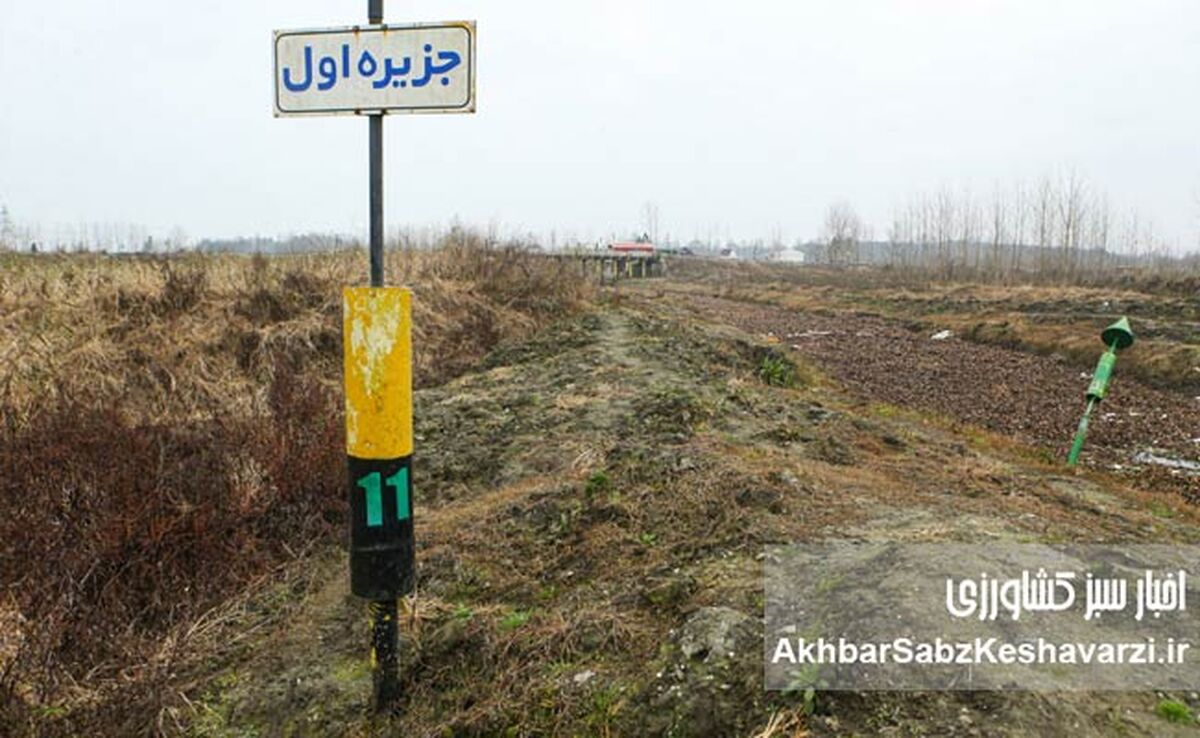 تالاب انزلی در محاصره خشکی؛ زنگ خطر برای شمال کشور

