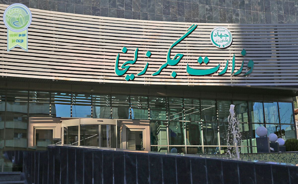 وزارت جگر زلیخا+فیلم