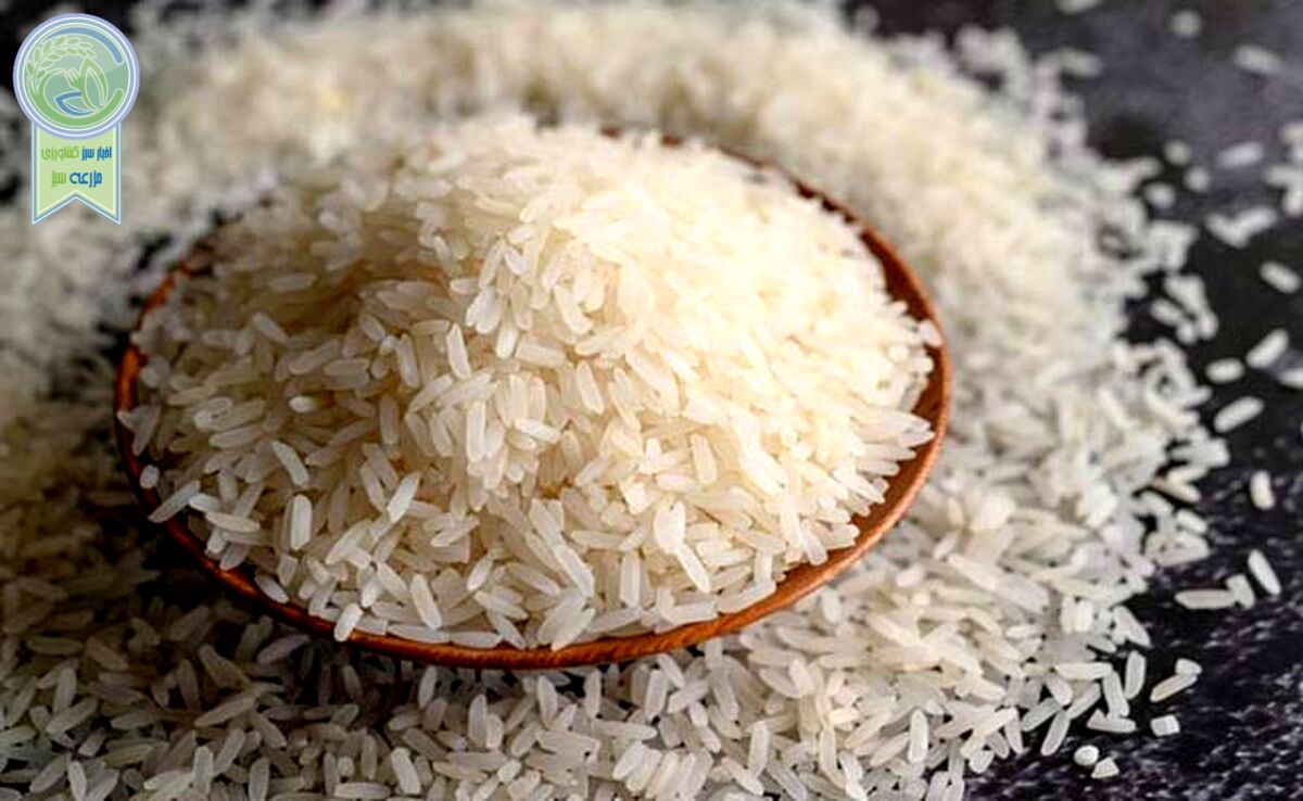 برنج هاشمی، طارم و پاکستانی کیلویی چند؟

