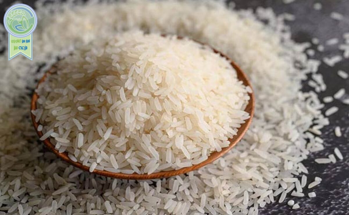 برنج هاشمی، طارم و پاکستانی کیلویی چند؟

