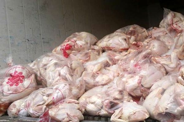 افزایش قیمت گوشت مرغ صحت ندارد
