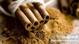 تنظیم قند خون با دارچین؛ ادویه‌ای معجزه‌آسا برای سلامتی شما