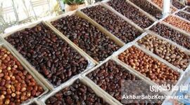 بازاری که با یک امضا سوخت؛ چگونه روسیه از سبد خرمای ایران حذف شد؟
