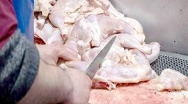 قیمت منطقی هر کیلو مرغ گرم ۹۰ هزار تومان

