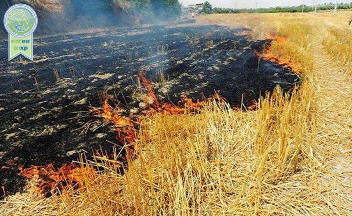 بقایای گیاهی را پس از برداشت محصول آتش نزنید

