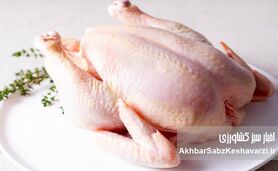 افزایش قیمت مرغ؛ پشت‌صحنه گرانی و لیست تازه نرخ‌ها