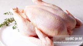 افزایش قیمت مرغ؛ پشت‌صحنه گرانی و لیست تازه نرخ‌ها
